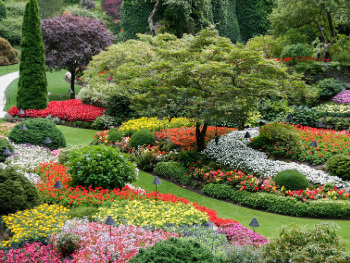 Butchart Gardens