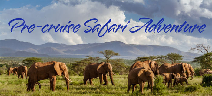 Safari