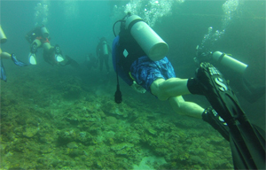 Scuba Diving