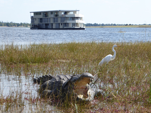 Cape Town - Botswana - Chobe River