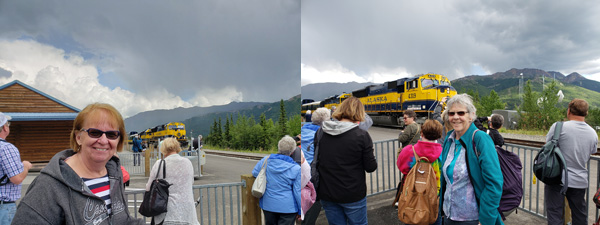 Denali train