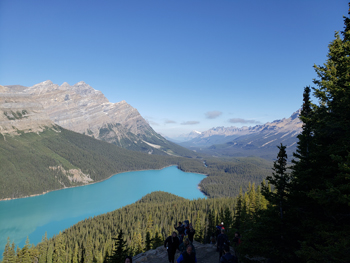 Peyto Lake