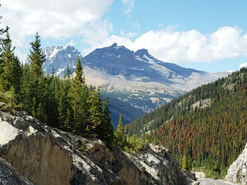 Columbia Icefield