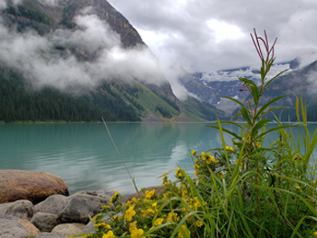 Lake Louise