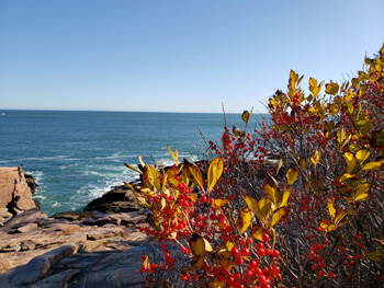 Acadia National Park