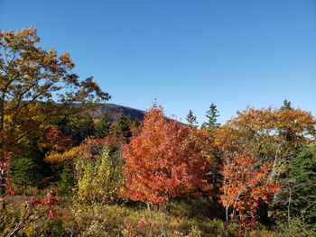 Acadia National Park