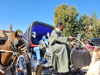 Carriage Ride