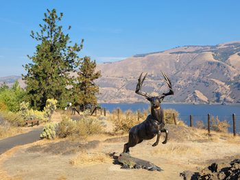 Columbia Gorge Discovery Center