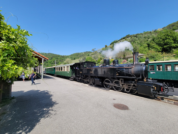 Steam Train