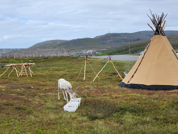 Sami Camp