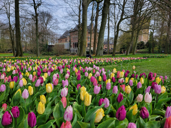 Floralia Flower Show