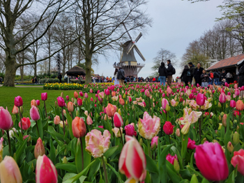 Keukenhof Gardens