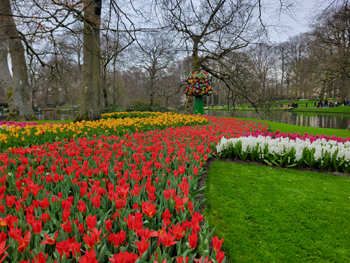 Keukenhof Gardens