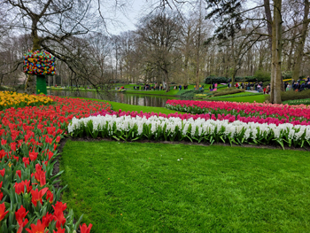 Keukenhof Gardens