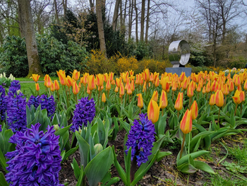 Keukenhof Gardens