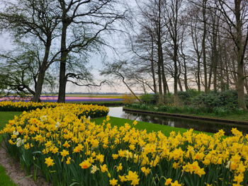 Keukenhof Gardens