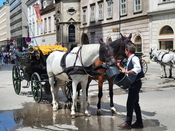 Vienna
