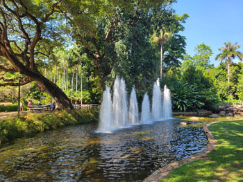 Darwin Botanic Gardens