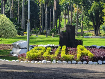 Suva