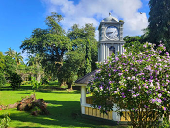 Fiji Museum