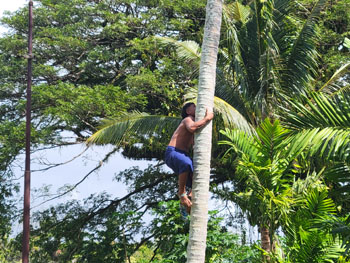 Samoa