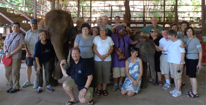 Group with elephants