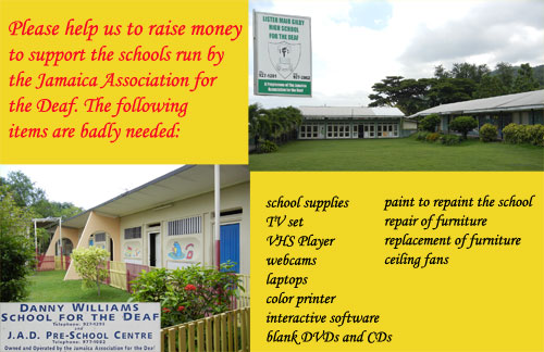 Fundraising Poster