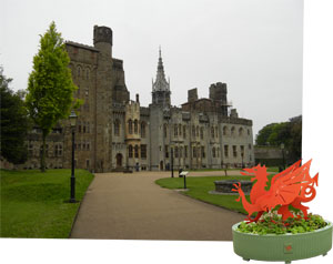 Cardiff Castle