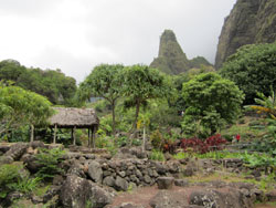 Iao Needle