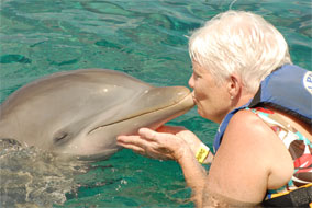 Cozumel, Dolphine Encounter